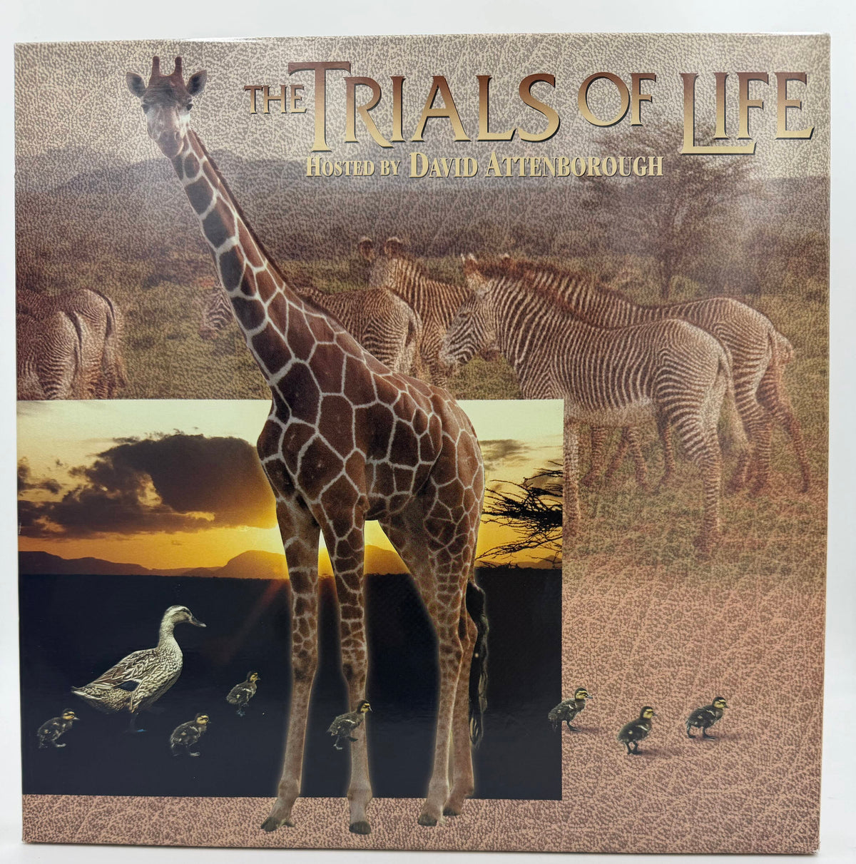 The Trials of Life (1995) – Hosted by David Attenborough LaserDisc Box Set - EX