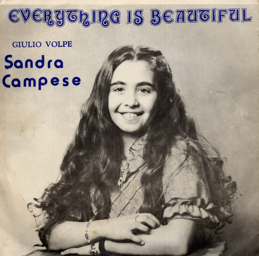 Vintage 1983 Sandra Campese- Everything is Beautiful 7-inch Vinyl Record