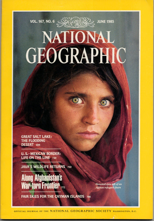 National Geographic Vol 167 No 6 Vintage Magazine (June 1985) Haunted Eyes Cover