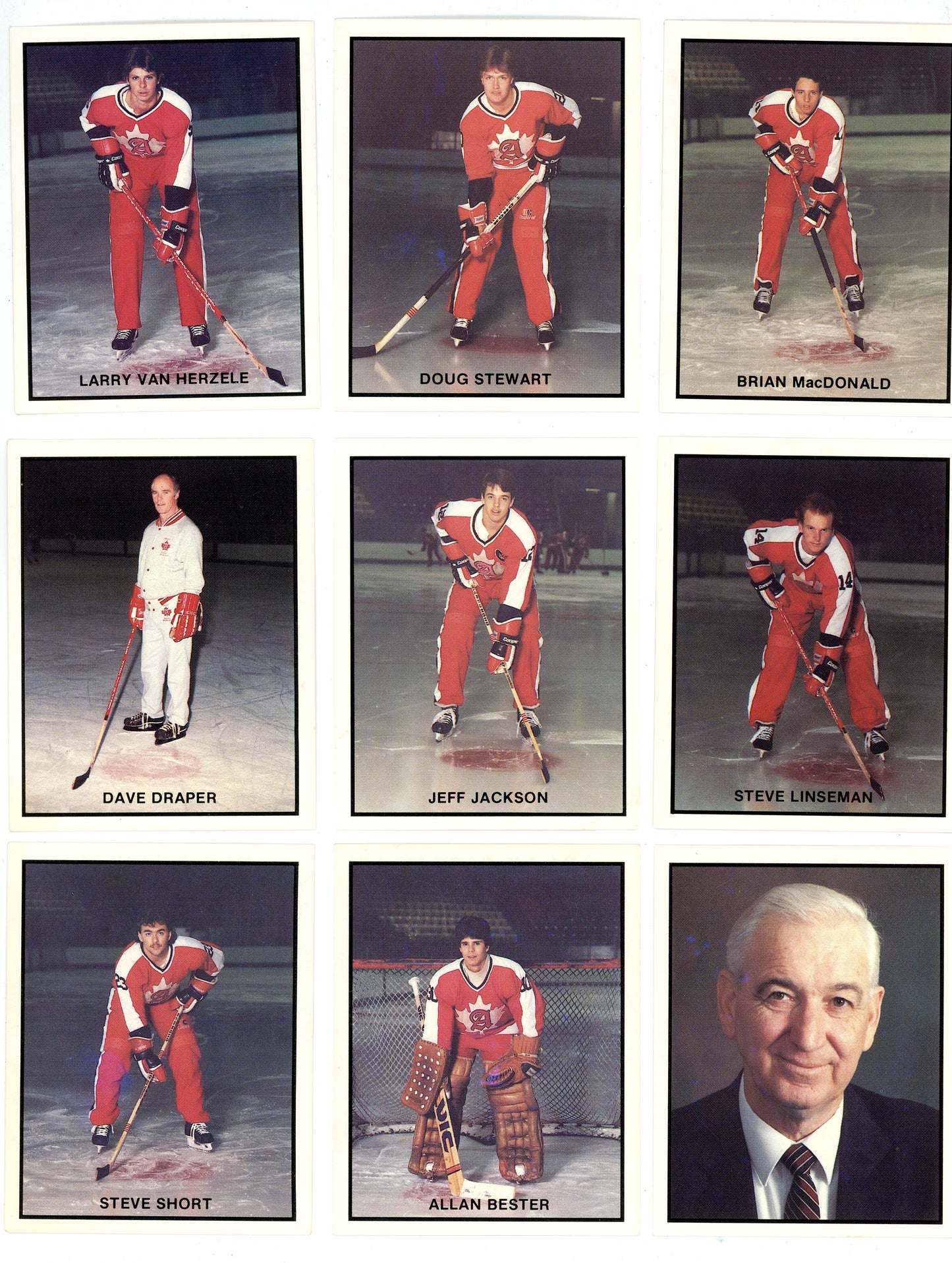 1983-84 OHL Brantford Alexanders P.L.A.Y. (Police, Law, and Youth) Hockey Complete Set (30 Cards)