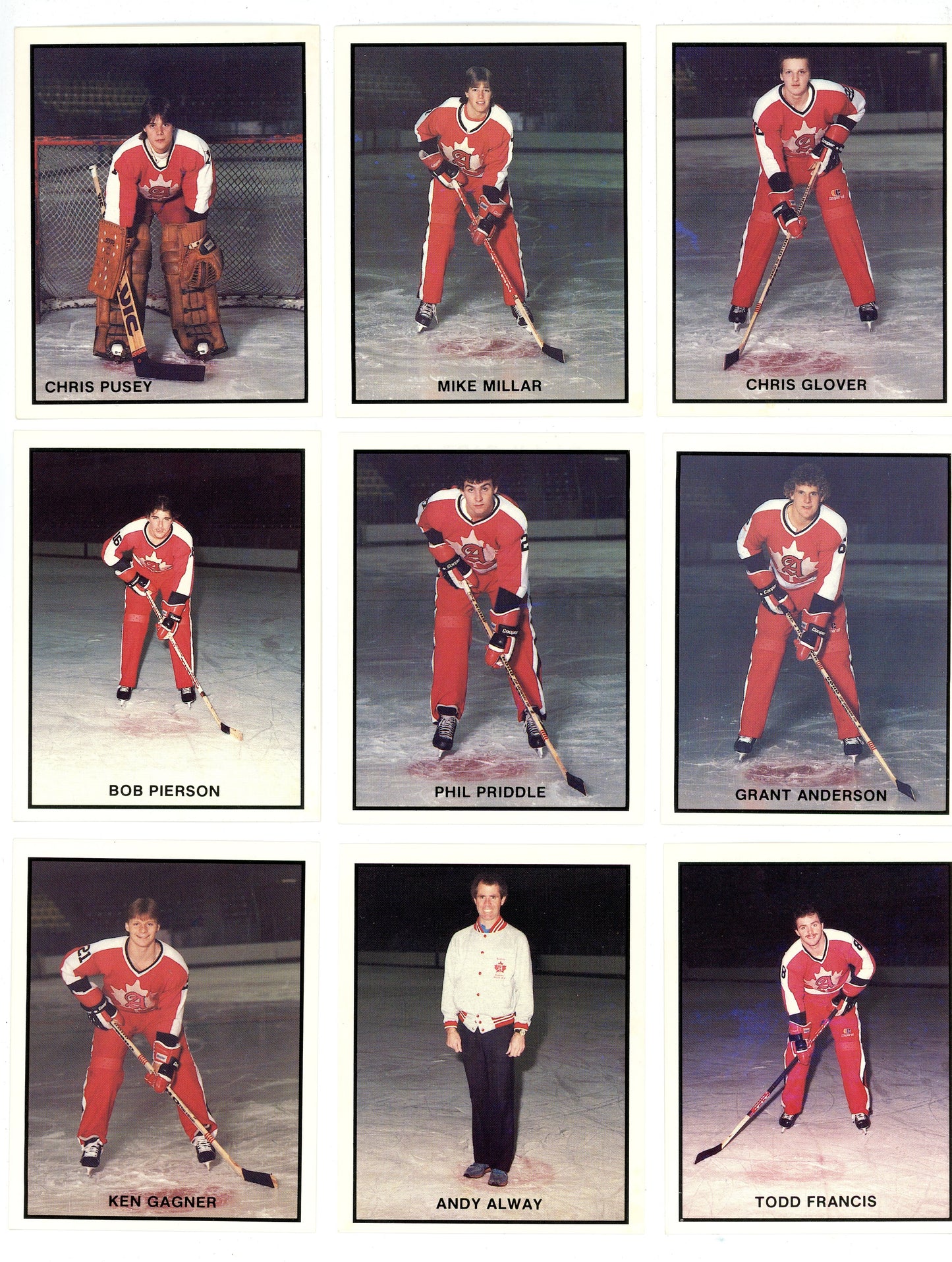 1983-84 OHL Brantford Alexanders P.L.A.Y. (Police, Law, and Youth) Hockey Complete Set (30 Cards)