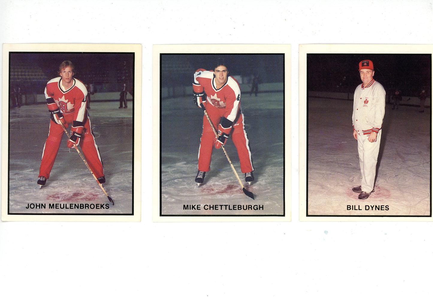 1983-84 OHL Brantford Alexanders P.L.A.Y. (Police, Law, and Youth) Hockey Complete Set (30 Cards)