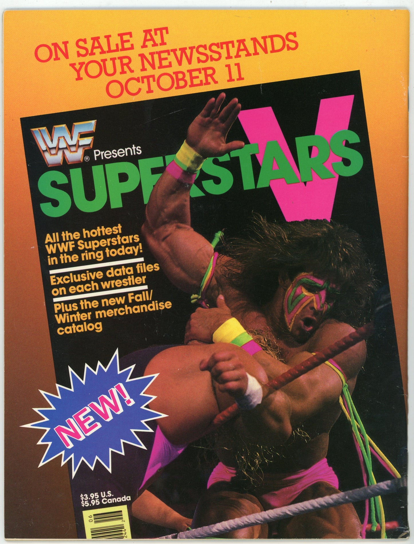 WWF WWE Wrestling Spotlight Vol. 9 The Rockers Wrestling Magazine (1990)