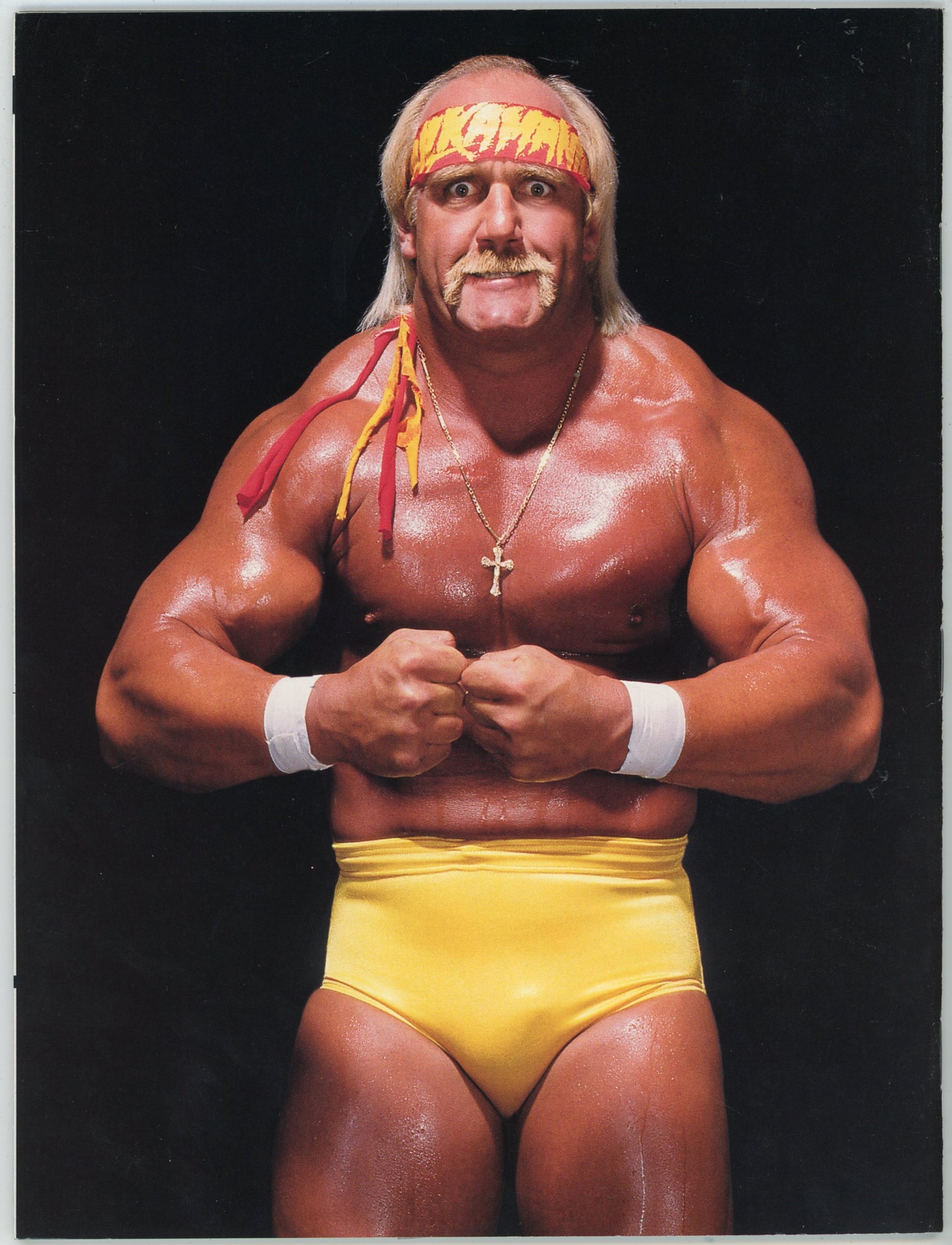 WWF WWE Presents Hulkamania Wrestling Magazine (2002) Special Collector's Issue
