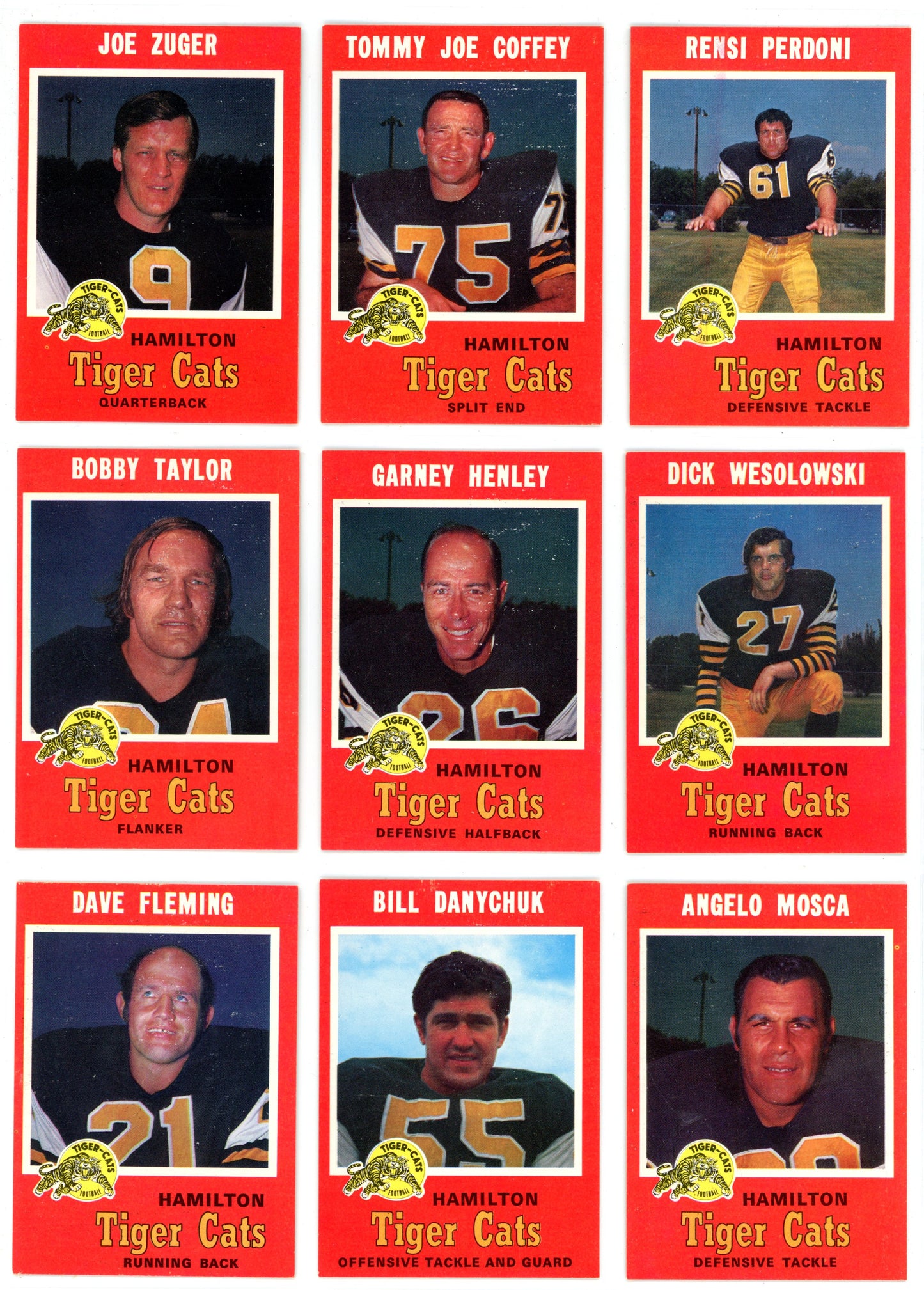 1971 OPC O-Pee-Chee CFL Football Complete Set (132 Cards) W/ Joe Theismann Graded Rookie KSA 7.5
