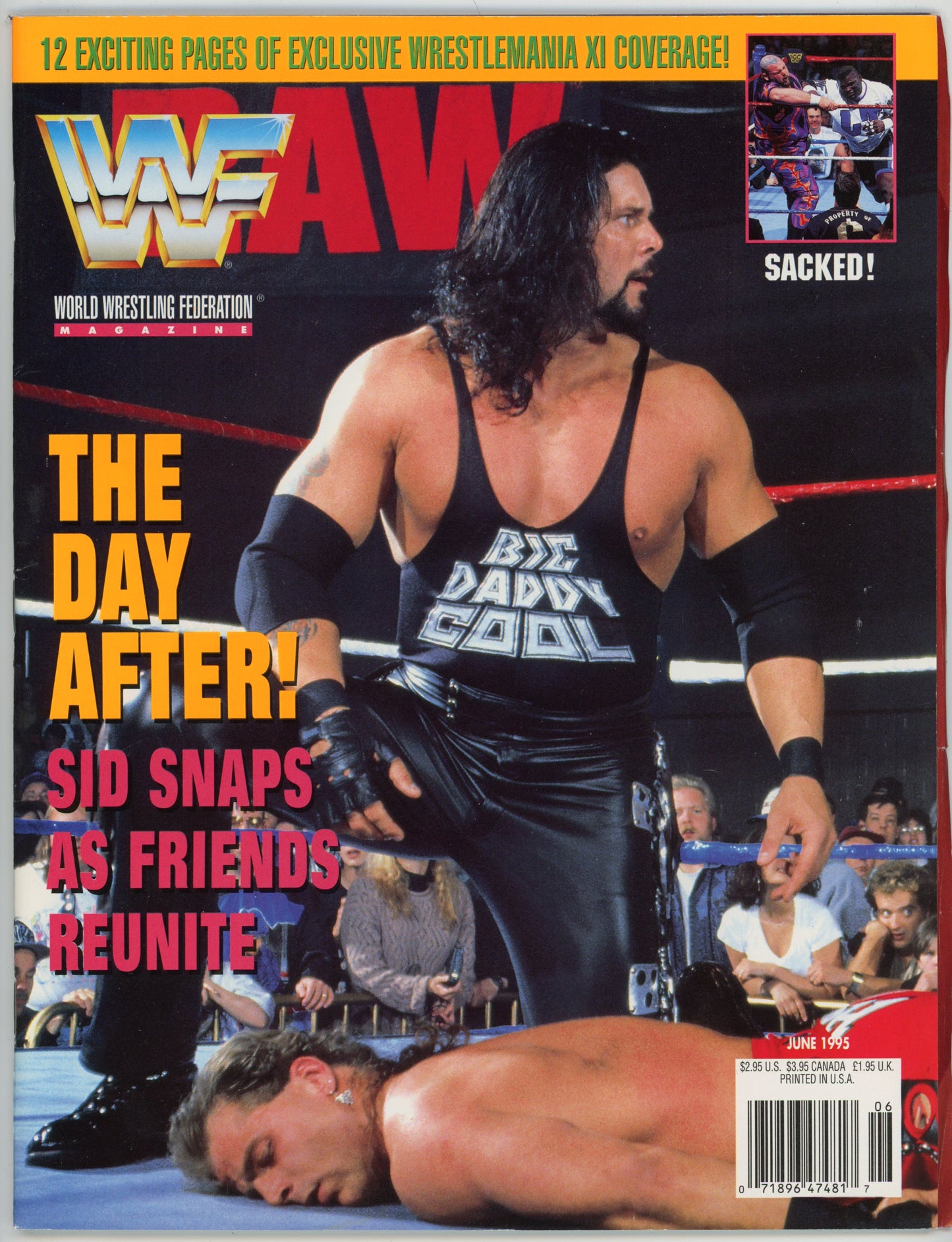 WWF WWE Raw Vintage Wrestling Magazine (June 1995) Diesel Cover