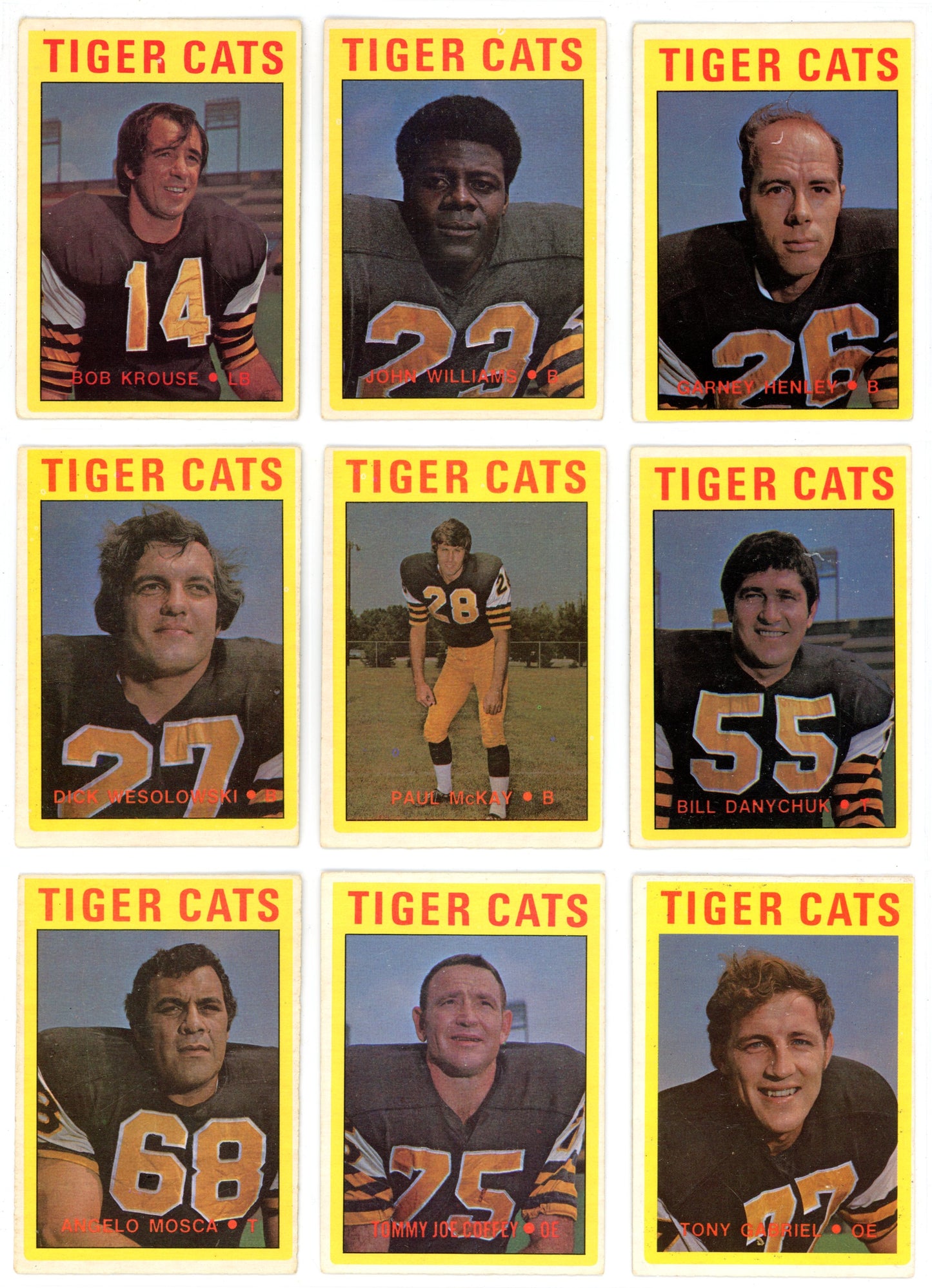 1972 OPC O-Pee-Chee CFL Football Complete Set (132 Cards) EX+ Condition
