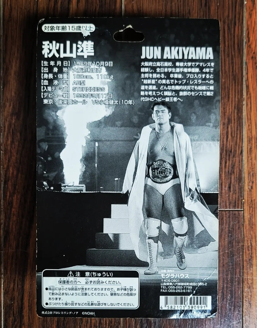 Pro Wrestling Noah Mogura House Deluxe Jun Akiyima Action Figure
