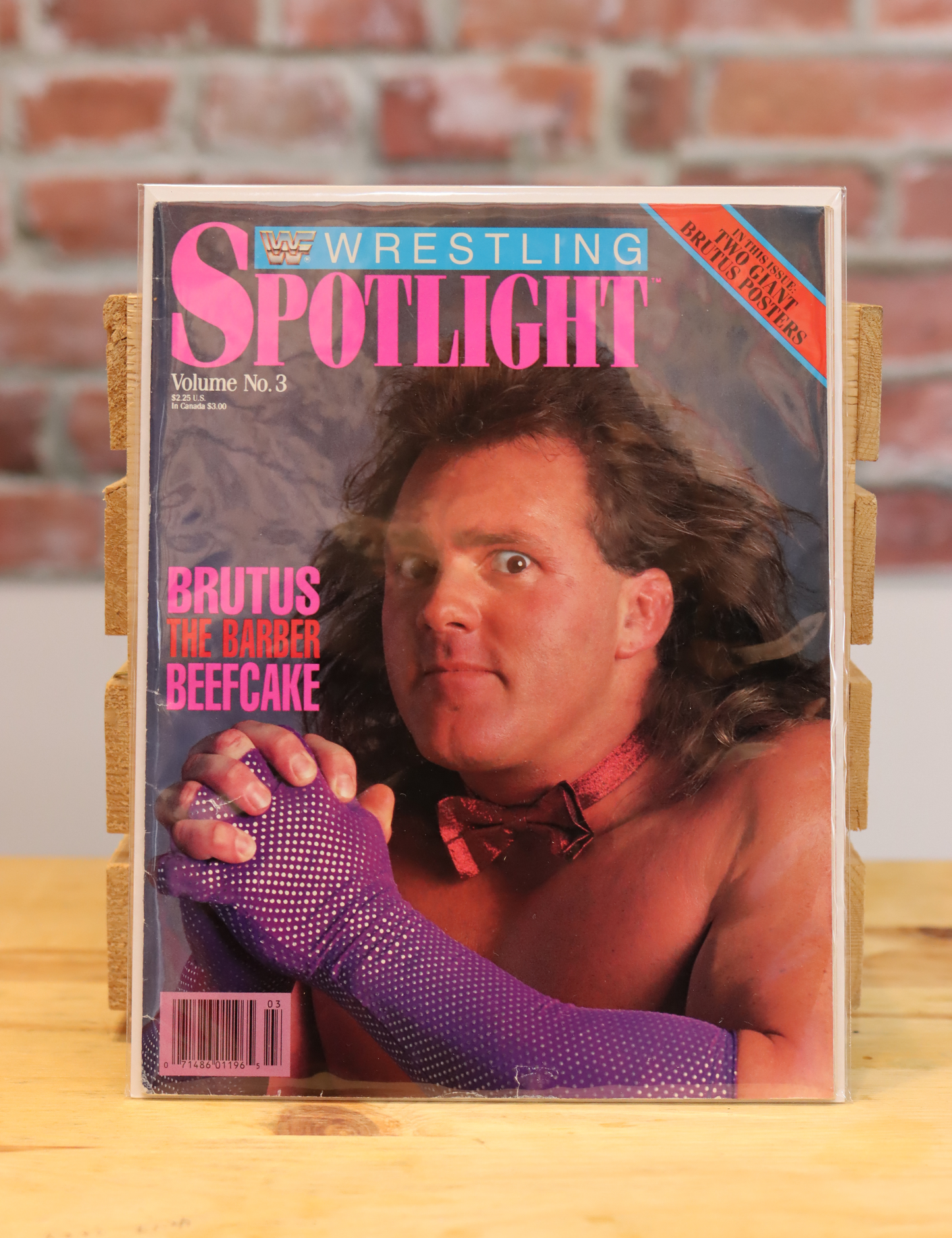 Original WWF WWE Vintage Wrestling Spotlight Program (1989)