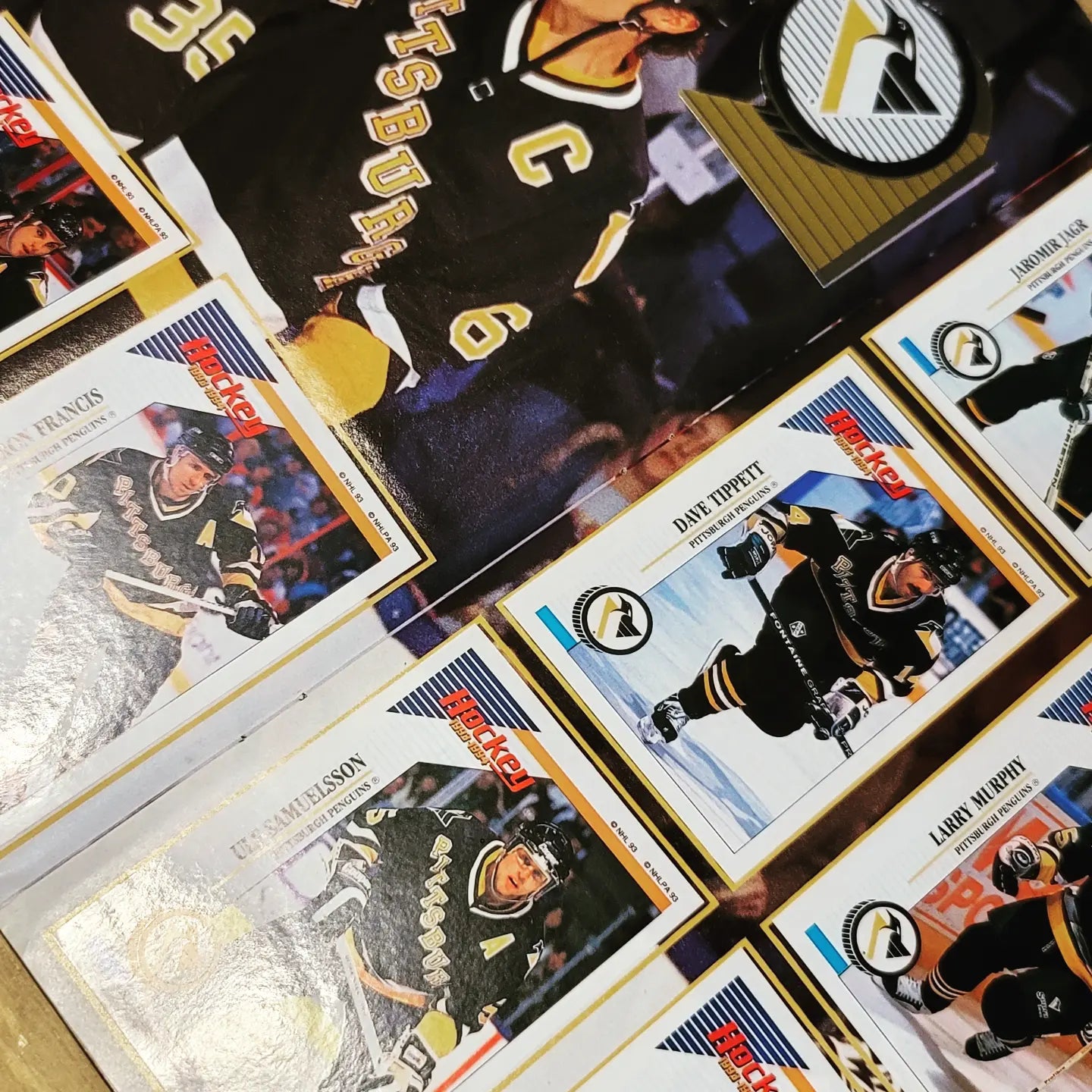 1993/94 Panini Hockey Sticker Album Complete Set