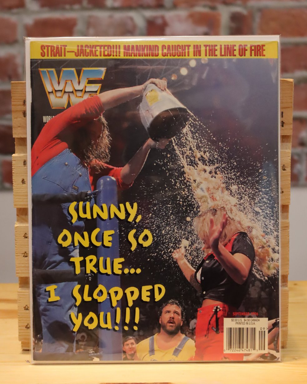 Original WWF WWE Vintage Wrestling Magazine Godwins/Sunny (September 1995)