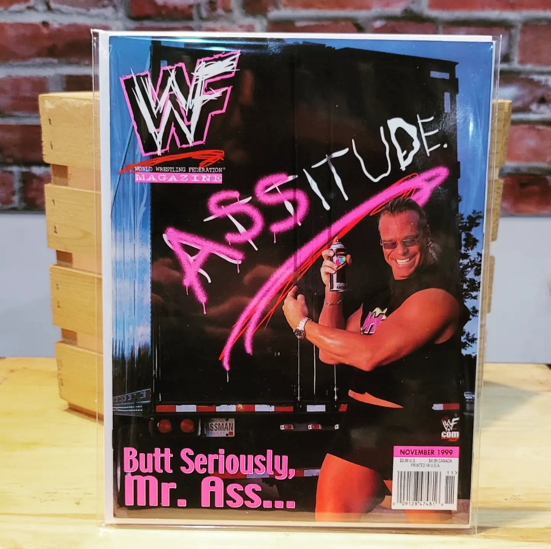 Original WWF WWE Vintage Wrestling Magazine Billy Gunn (November 1999)