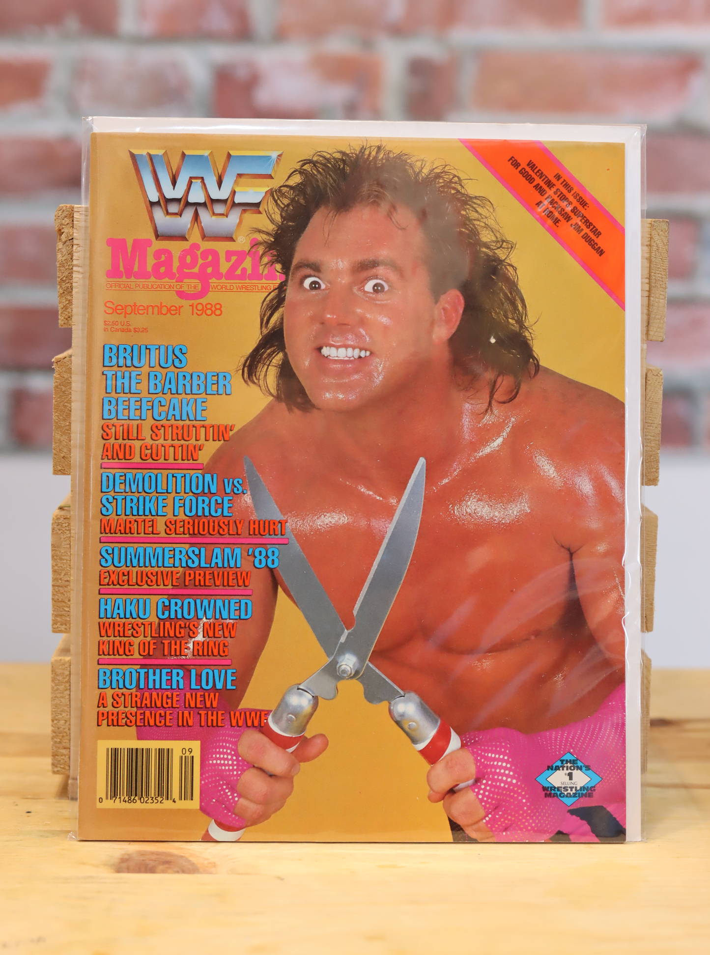 Original WWF WWE Vintage Wrestling Magazine Brutus Beefcake (September 1988)