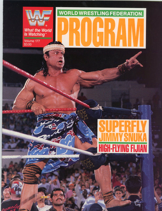 Original WWF WWE Wrestling Event House Show Program (Feb, 1990) Detroit MI