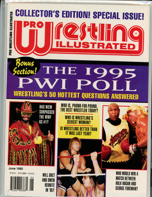 Pro Wrestling Illustrated Annual Magazine (June, 1995) Bret Hart, Owen